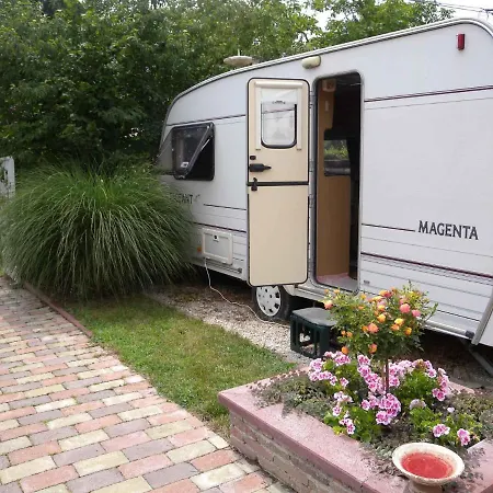 - Balaton 18975 발라톤케네세